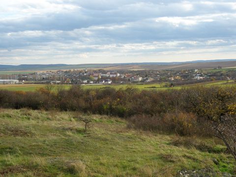 Foto 23